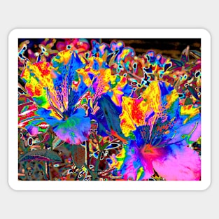 Flower Fireworks Sticker